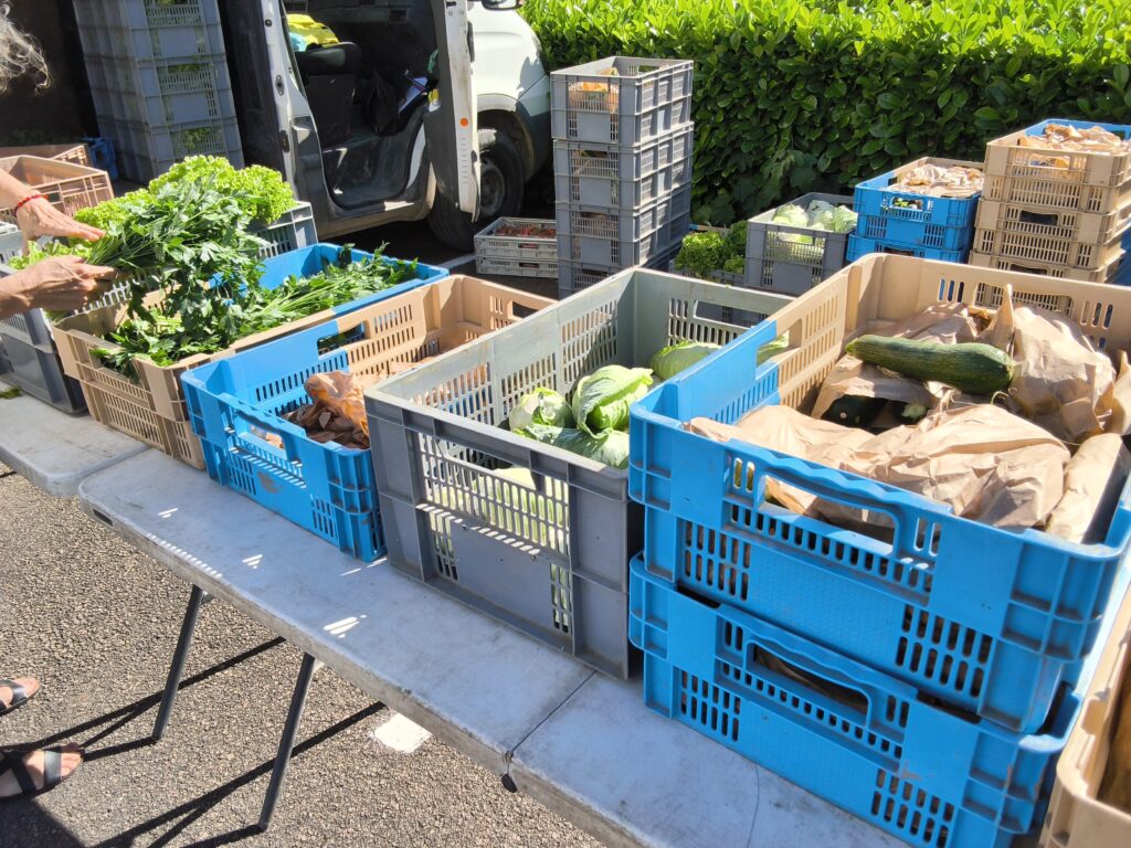 cagettes de légumes disposées sur une table